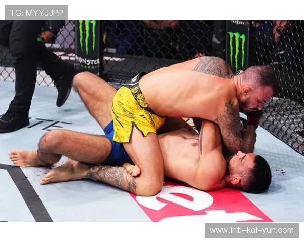 站立打击专家丹·霍克的精准打击与前冠军贝诺伊摔跤控制风格碰撞